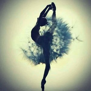 Meet your Posher, Sunshine